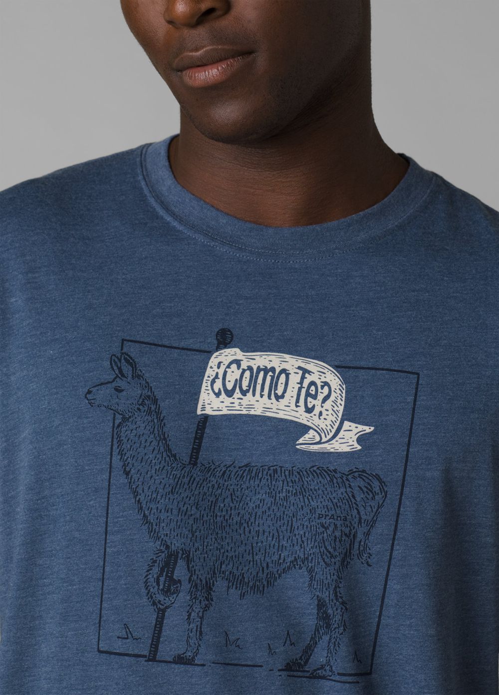 Blue Men's PrAna Como Te Llama Journeyman 2 T-Shirts | 95326-RZGE