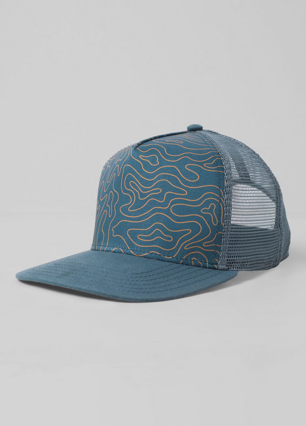 Blue Men's PrAna Vista Trucker Hats | 47810-BAVJ