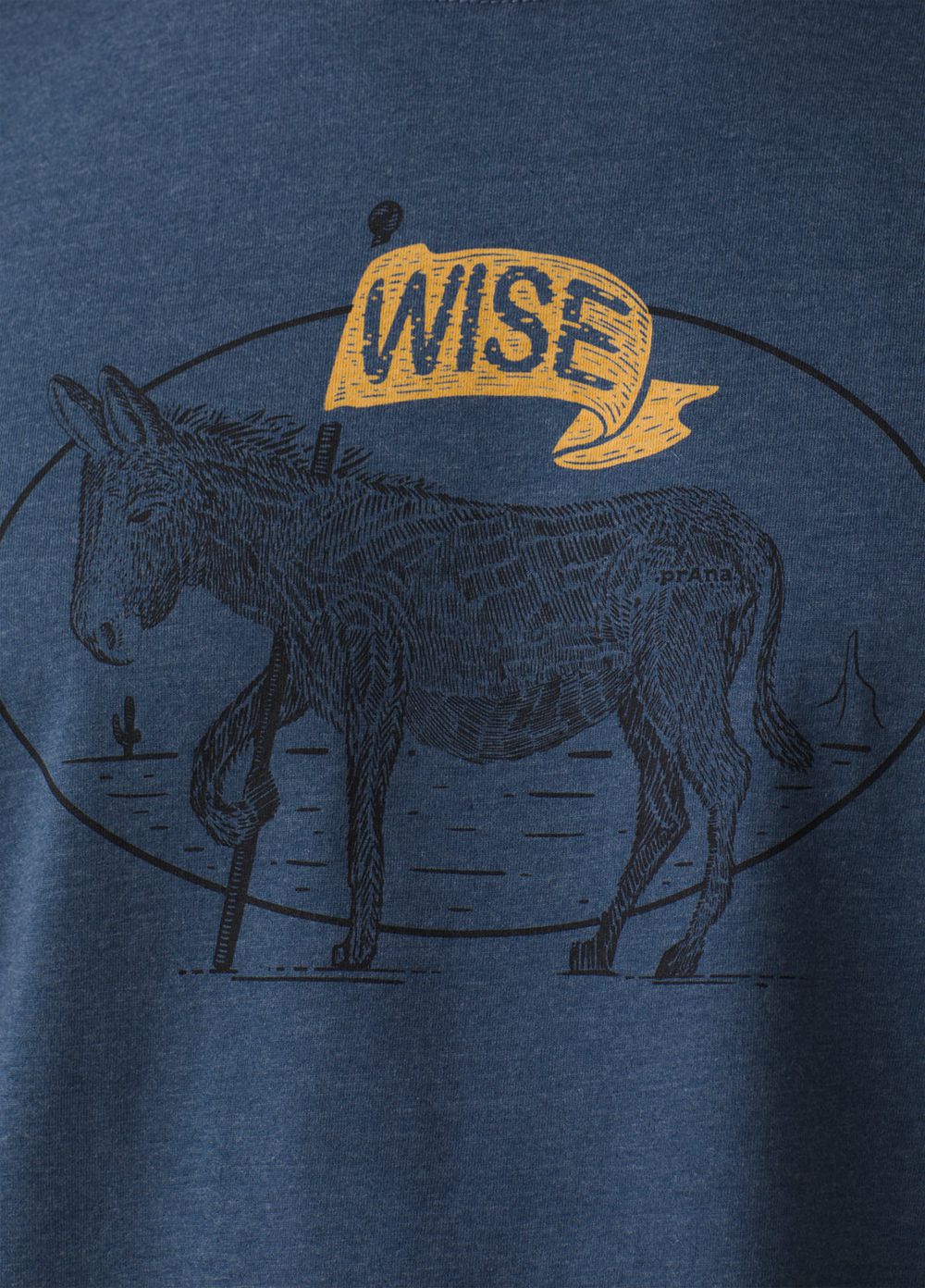 Blue Men's PrAna Wise Ass Journeyman 2 T-Shirts | 31490-OCVY