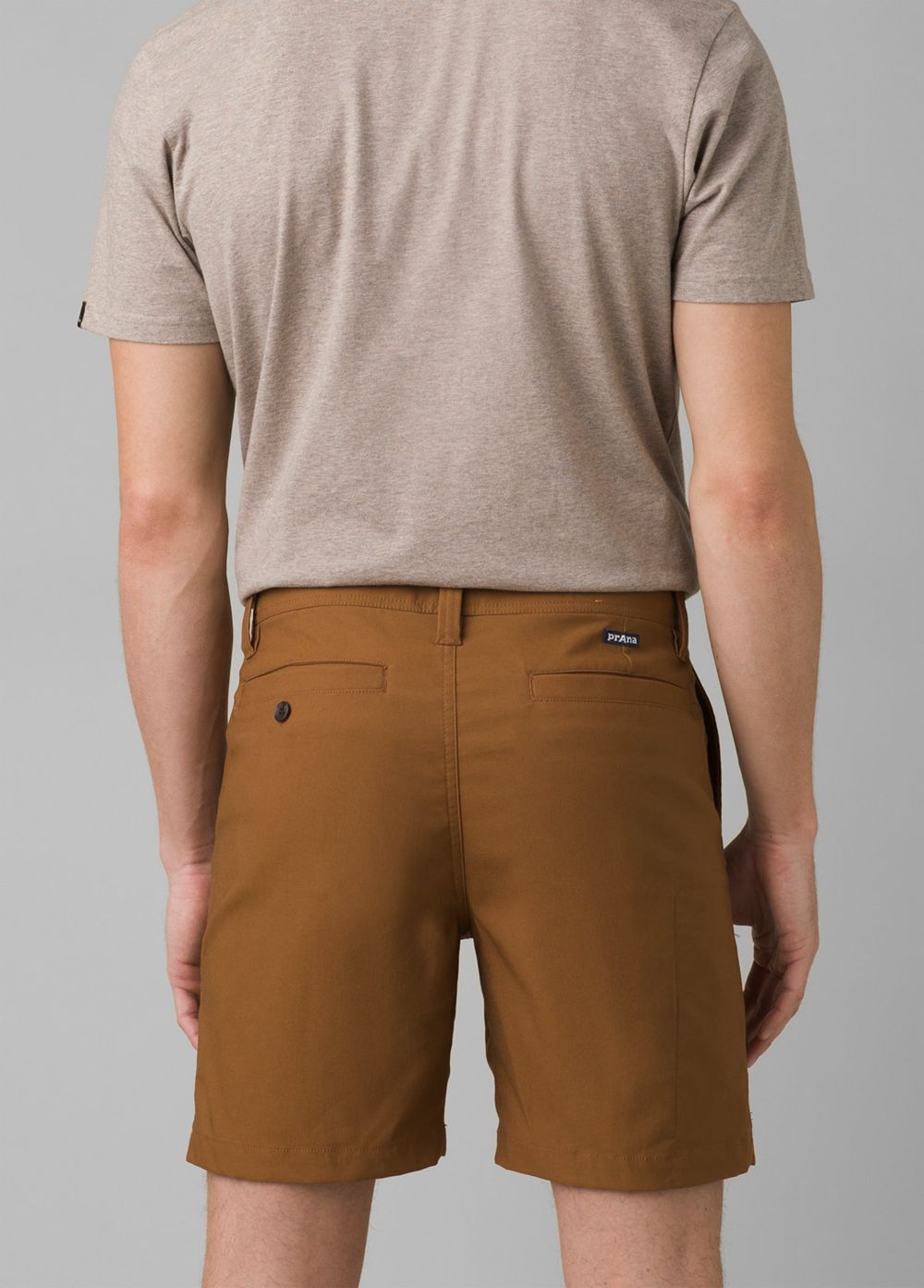 Brown Men's PrAna Alameda Shorts | 43805-QPLJ