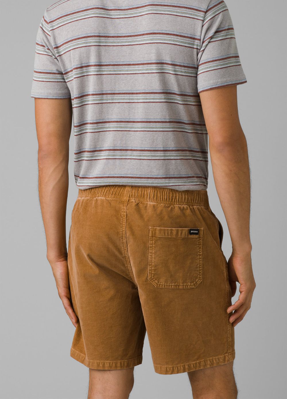 Brown Men's PrAna Canyon Camp Shorts | 31825-ULDP