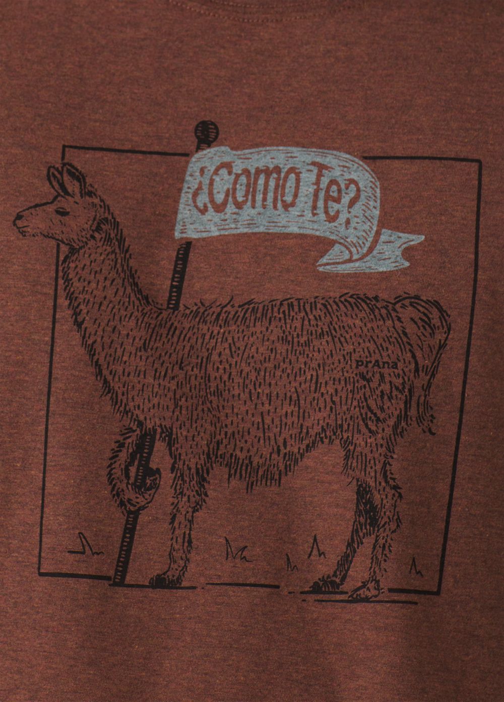 Brown Men's PrAna Como Te Llama Journeyman 2 T-Shirts | 31467-CDWE