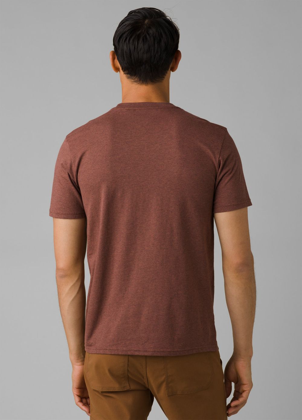 Brown Men's PrAna Crew T-Shirts | 53179-FVXJ