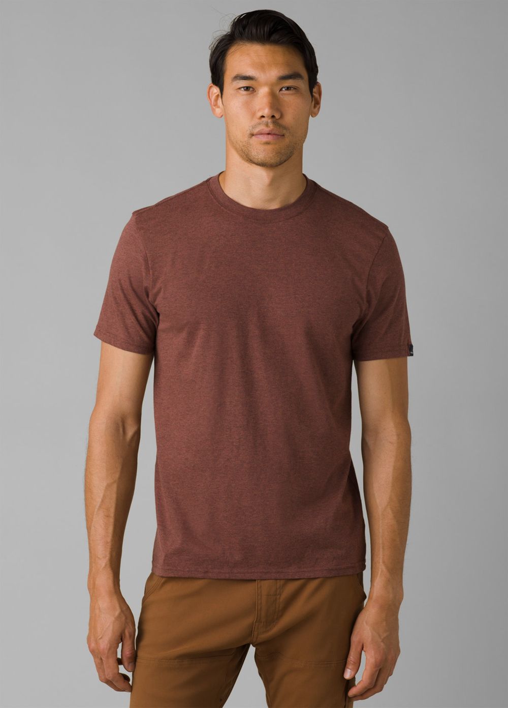 Brown Men\'s PrAna Crew T-Shirts | 53179-FVXJ