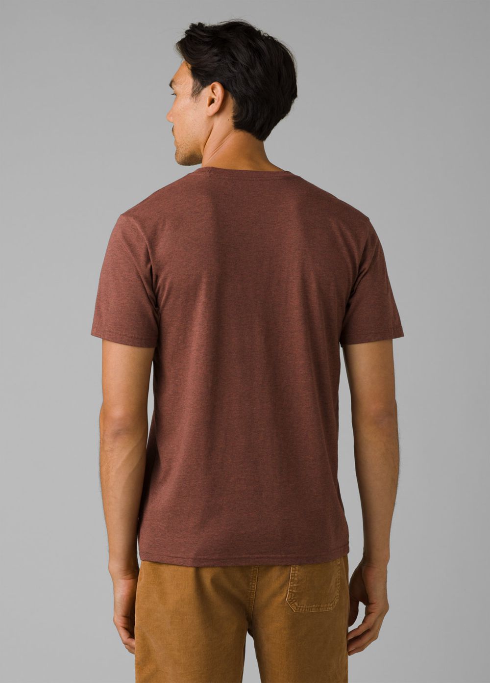 Brown Men's PrAna Roots Studio Graphic T-Shirts | 28691-USLC