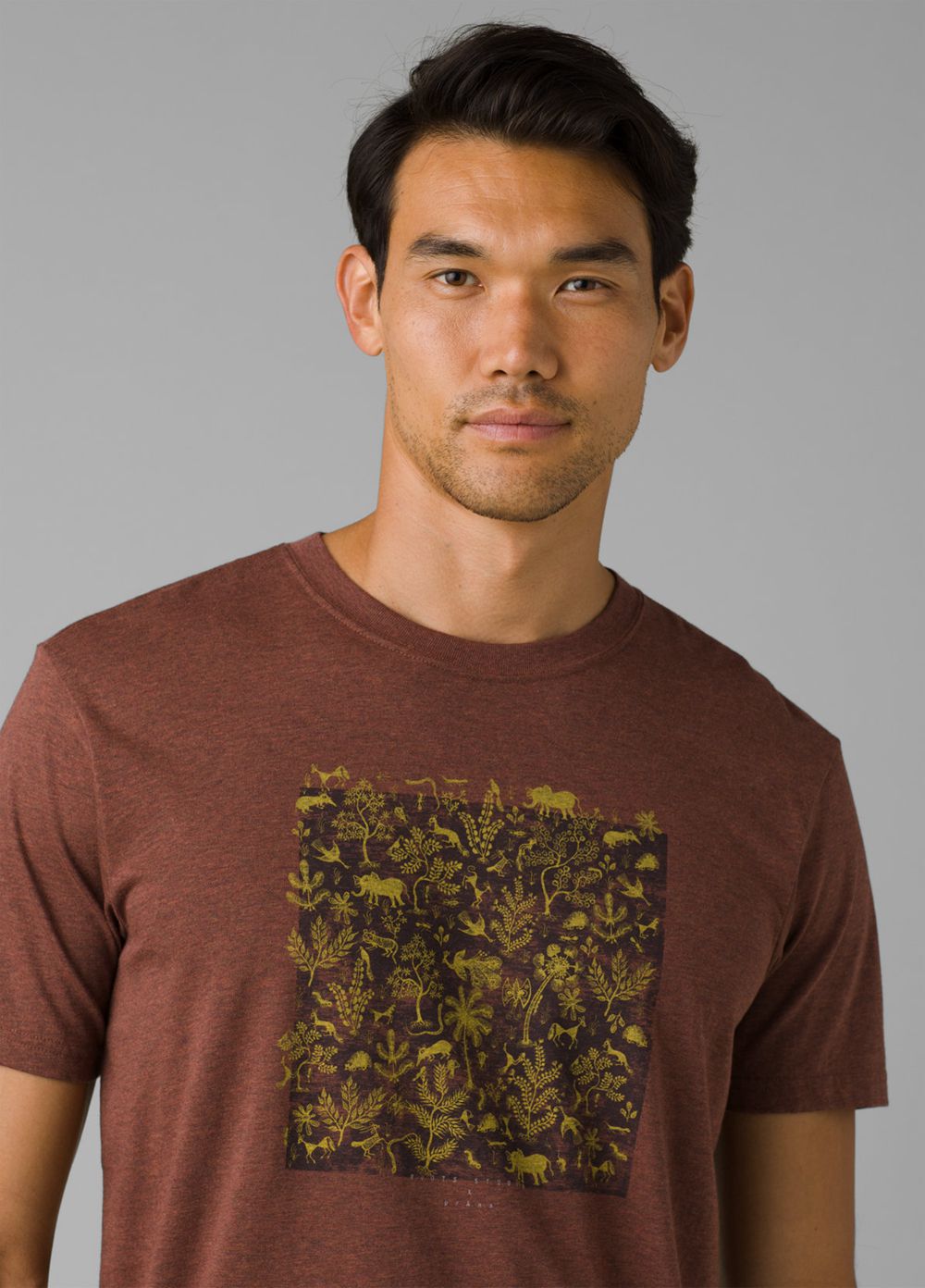 Brown Men's PrAna Roots Studio Graphic T-Shirts | 28691-USLC