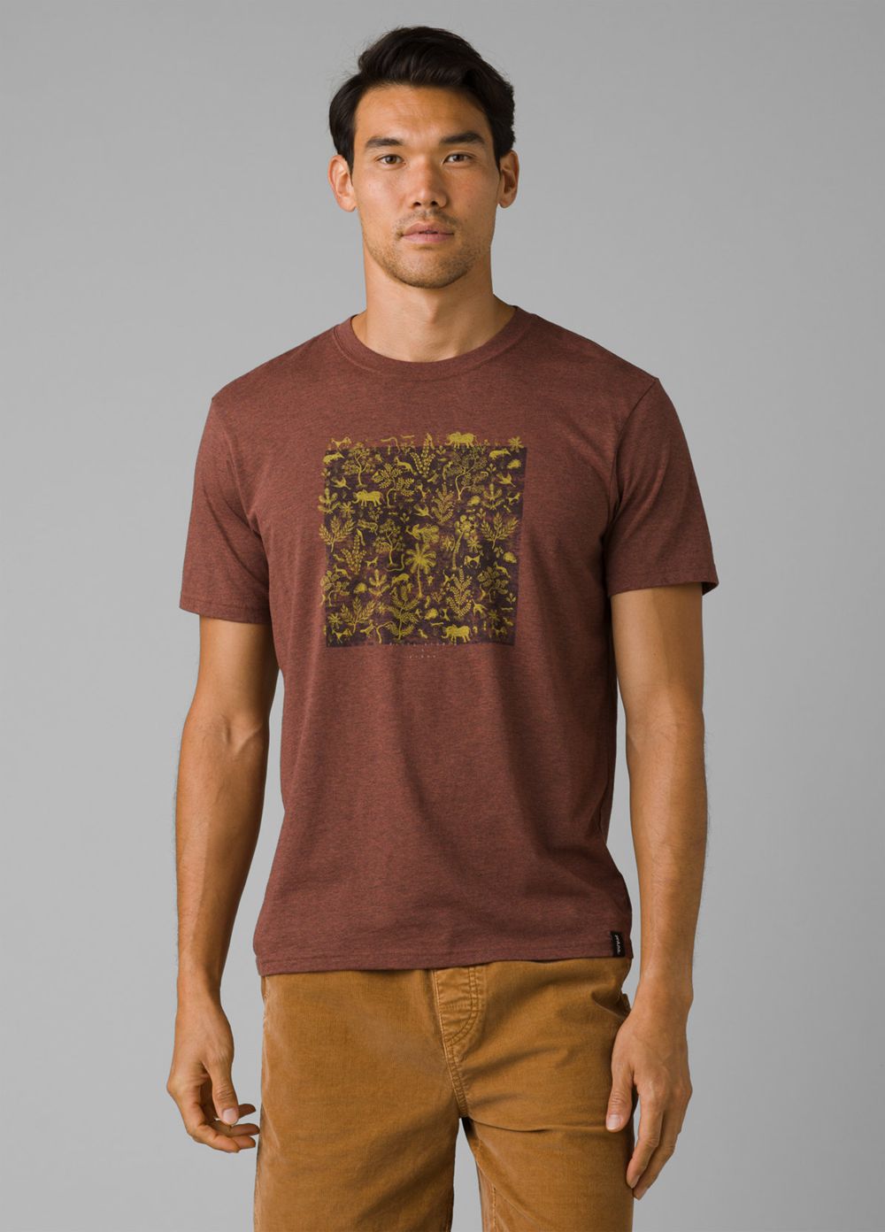 Brown Men\'s PrAna Roots Studio Graphic T-Shirts | 28691-USLC