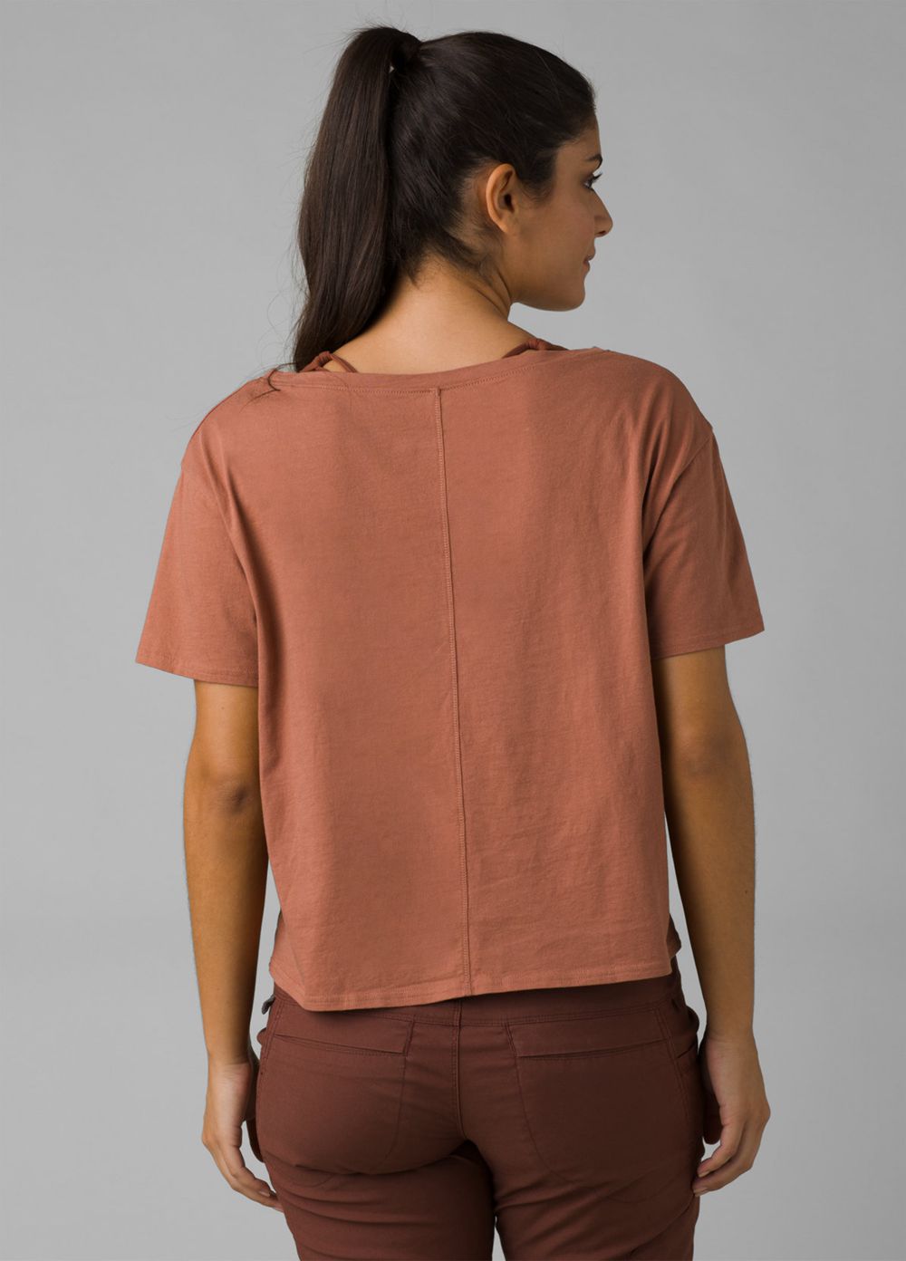 Brown Women's PrAna Journeyman 2.0 T-Shirts | 96108-FVDM