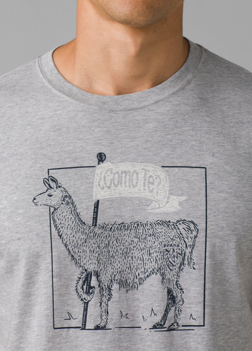 Grey Men's PrAna Como Te Llama Journeyman 2 T-Shirts | 09536-XICZ