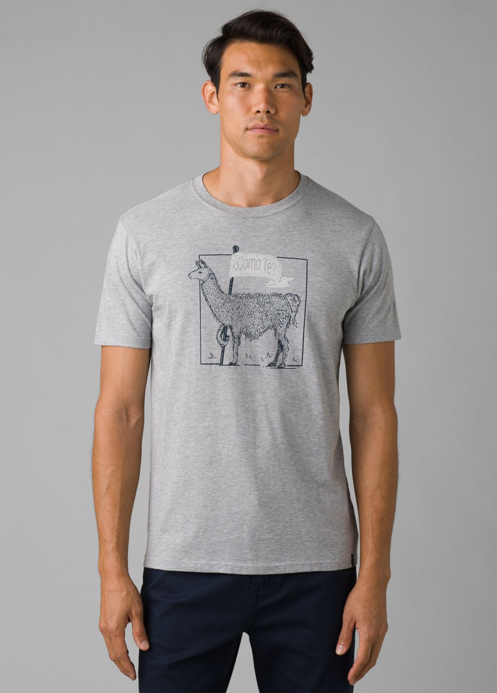 Grey Men\'s PrAna Como Te Llama Journeyman 2 T-Shirts | 09536-XICZ