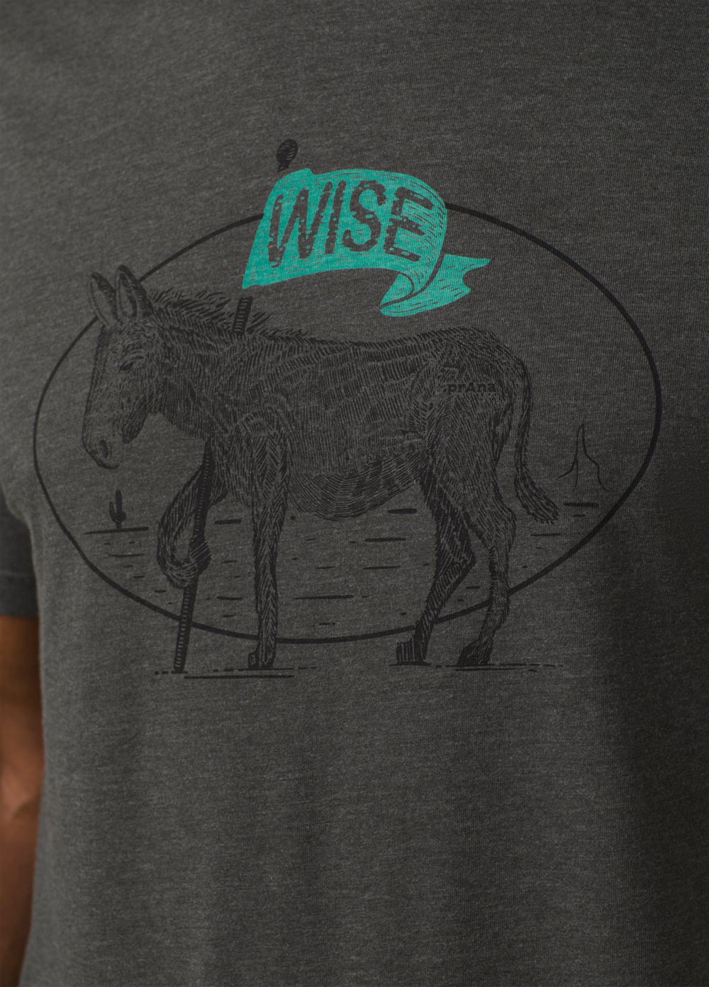 Grey Men's PrAna Wise Ass Journeyman 2 T-Shirts | 18092-RZAJ