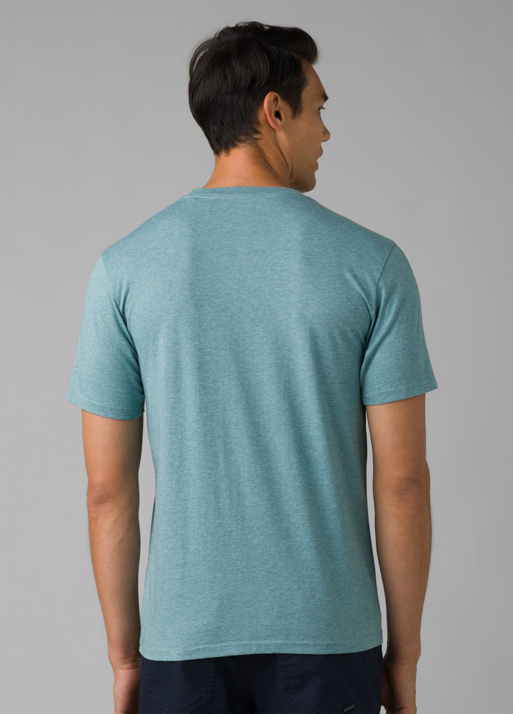 Turquoise Men's PrAna Bear Squeeze Journeyman T-Shirts | 46105-RASD