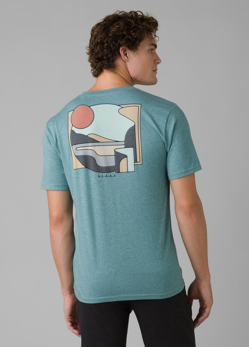 Turquoise Men's PrAna Torreys Peak T-Shirts | 18735-NGVA