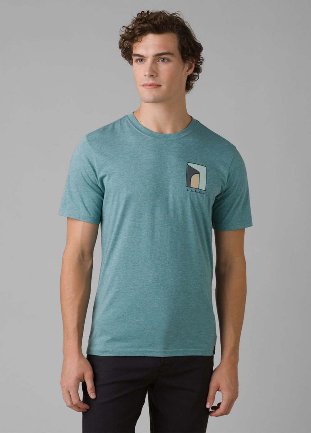 Turquoise Men\'s PrAna Torreys Peak T-Shirts | 18735-NGVA