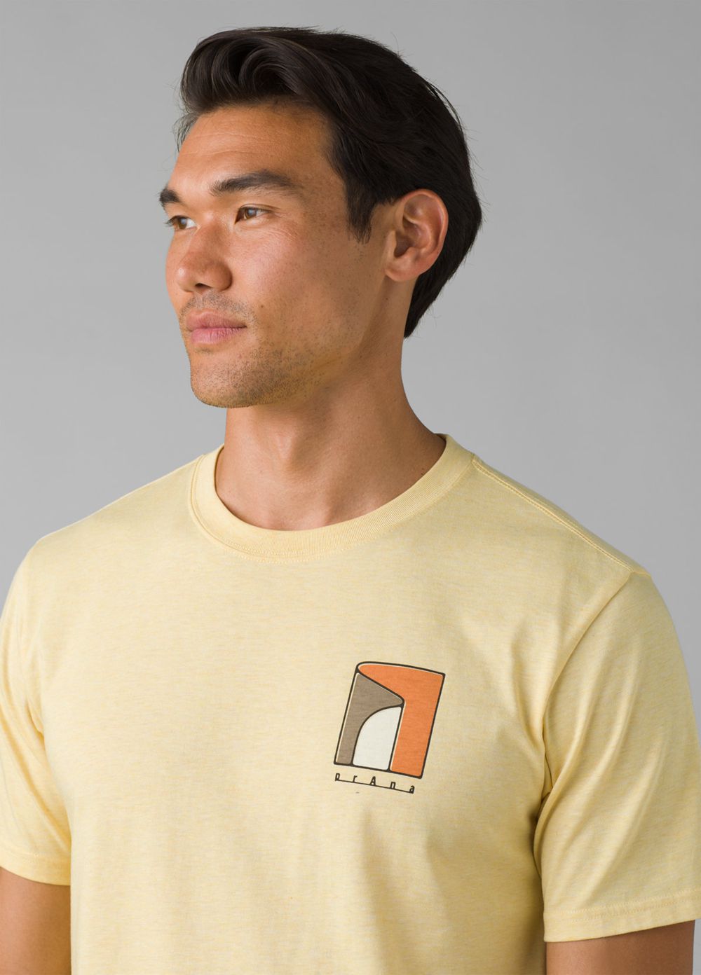 Yellow Men's PrAna Torreys Peak T-Shirts | 96453-RZHY