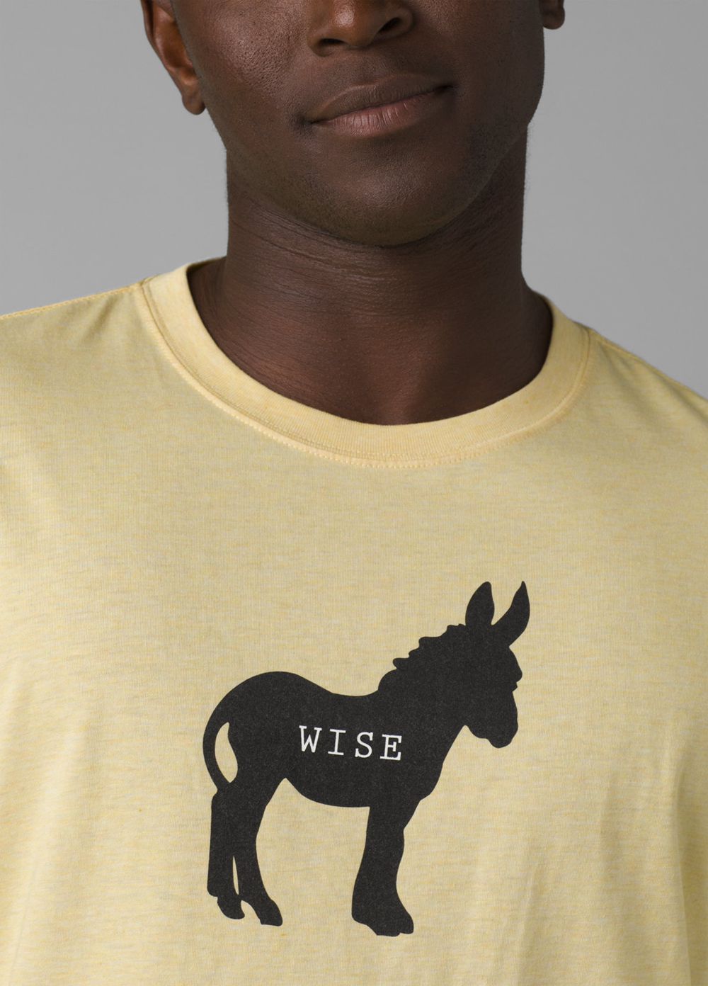 Yellow Men's PrAna Wise Ass Journeyman T-Shirts | 03985-RMCH