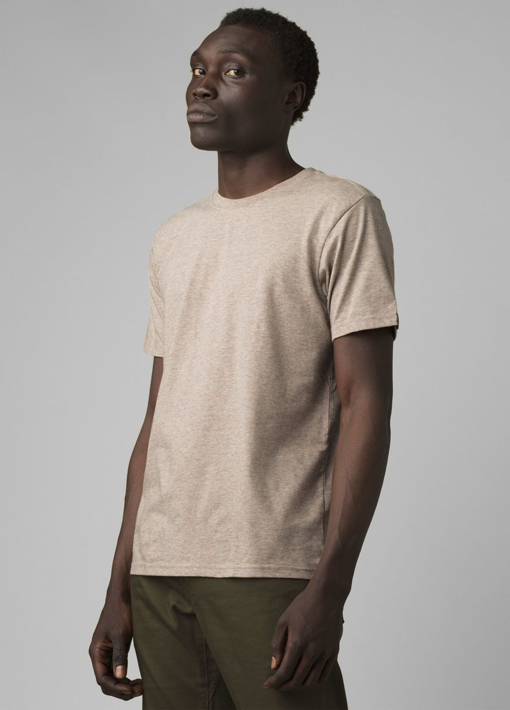 Beige Men's PrAna Crew T-Shirts | 58703-PAQT