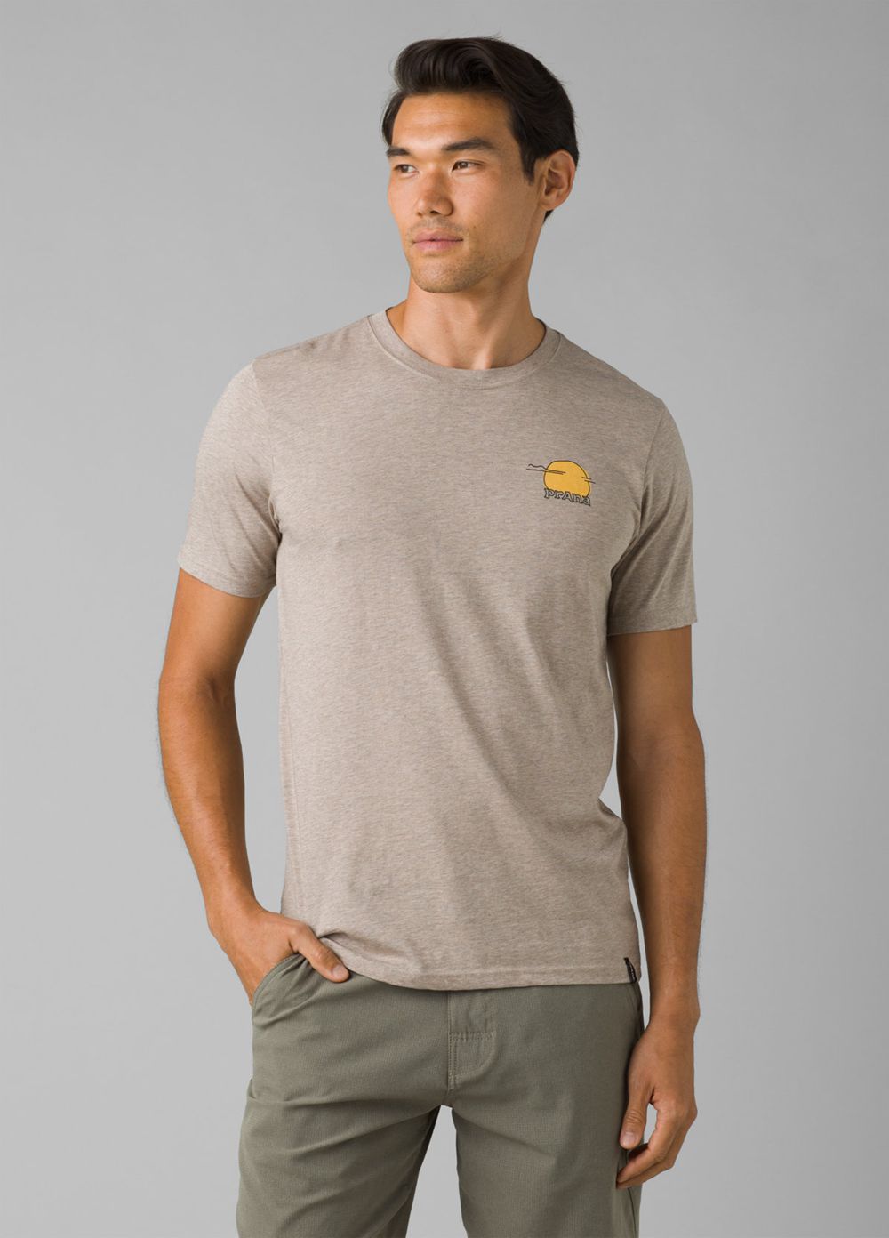 Beige Men's PrAna Wild Camp T-Shirts | 97803-AYBS