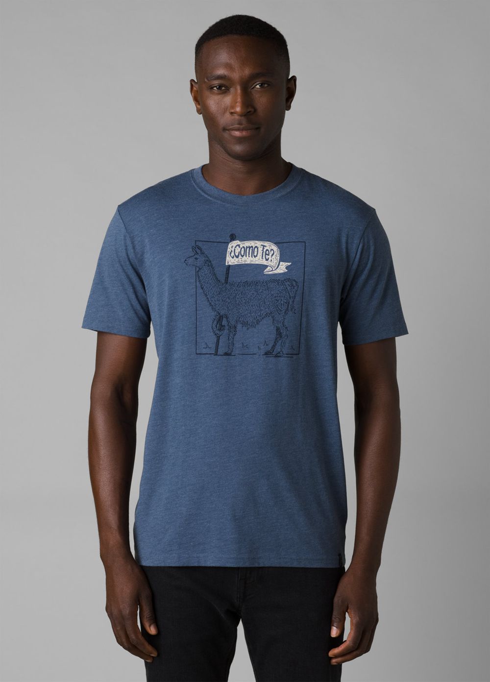 Blue Men's PrAna Como Te Llama Journeyman 2 T-Shirts | 95326-RZGE