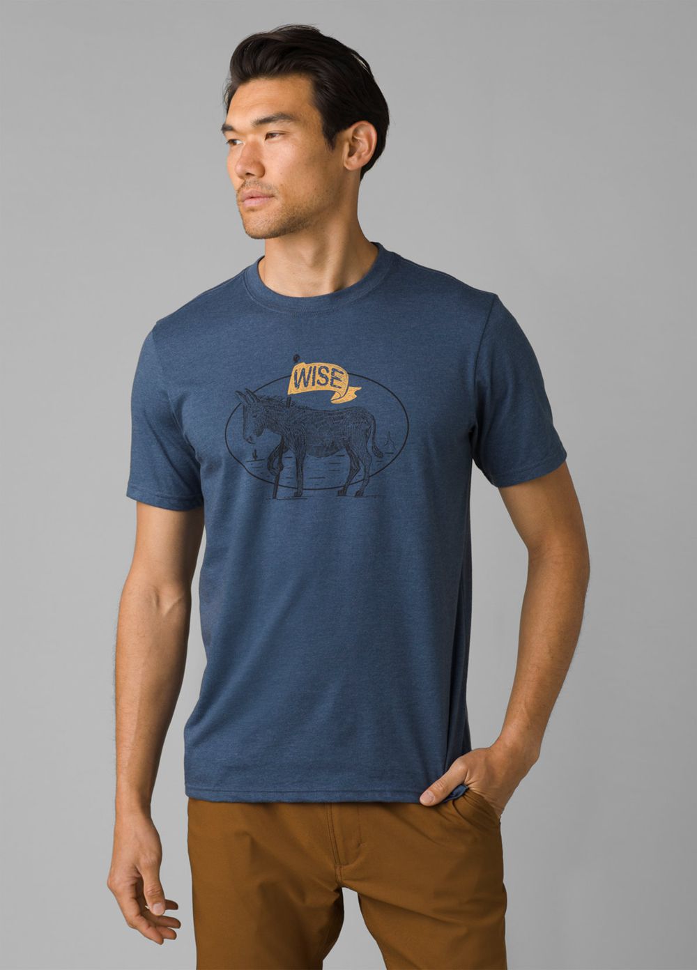 Blue Men's PrAna Wise Ass Journeyman 2 T-Shirts | 31490-OCVY