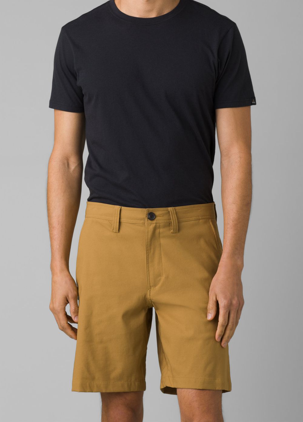 Brown Men's PrAna Alameda Shorts | 27960-BASH