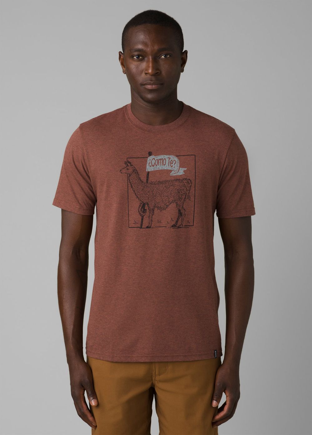 Brown Men's PrAna Como Te Llama Journeyman 2 T-Shirts | 31467-CDWE