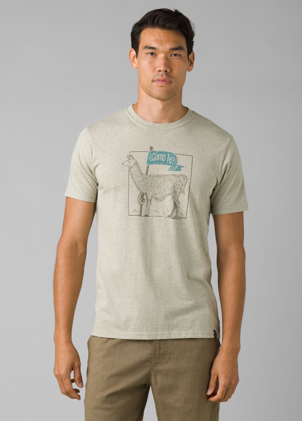 Olive Men's PrAna Como Te Llama Journeyman 2 T-Shirts | 17586-RXIA